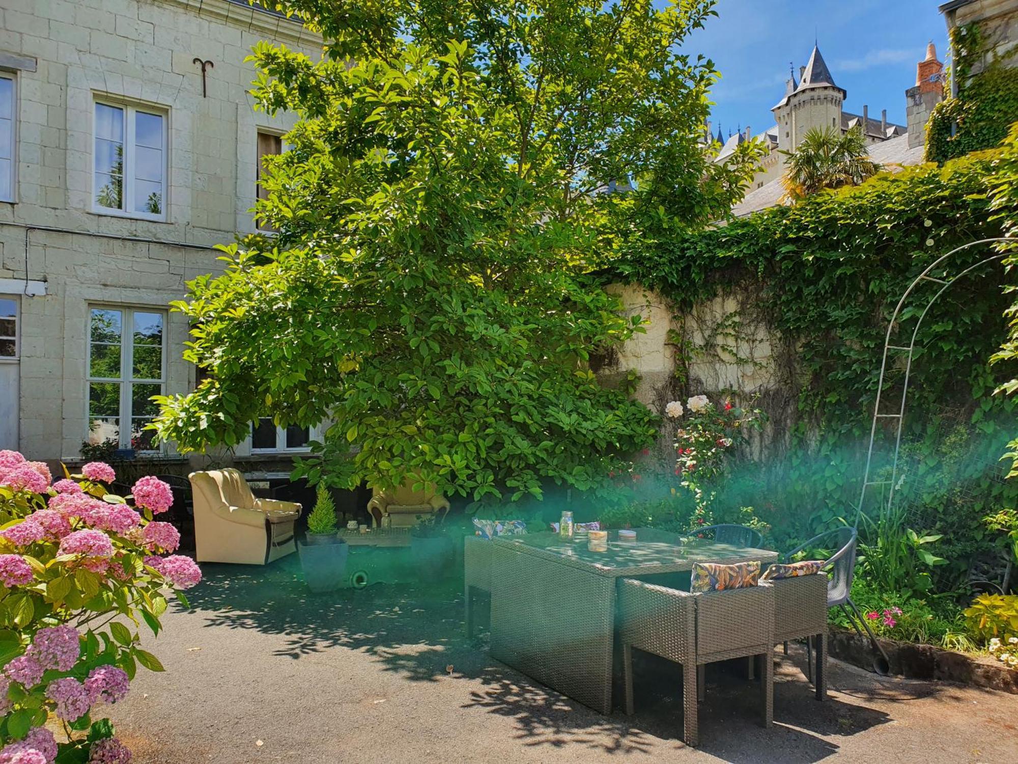 Vue Sur Chateau Et Loire Saumur Dış mekan fotoğraf